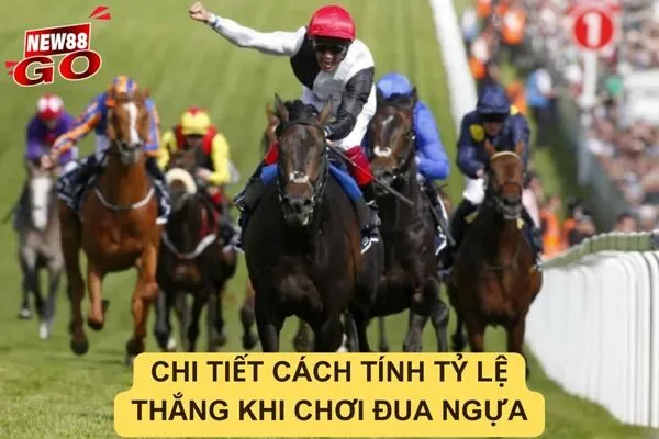 Cách tính tỷ lệ thắng khi chơi đua ngựa