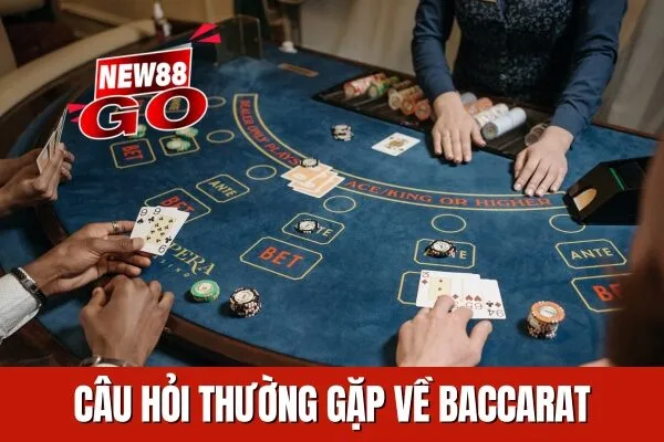 FAQ và Hướng dẫn chơi Baccarat Cách đặt cược và các chiến lược cơ bản