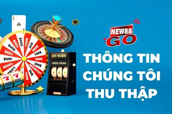 Thông tin chúng tôi thu thập