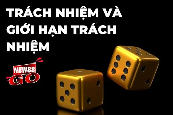 Trách nhiệm và giới hạn trách nhiệm của người dùng